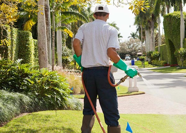 About Bedford NY Pest Control